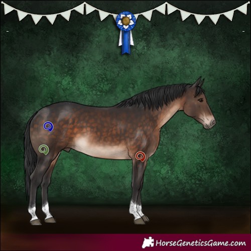 Horse Color:White Spotted Brown Tobiano 