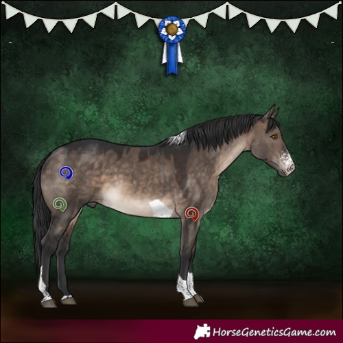Horse Color:Brown Dun Sabino Tobiano 
