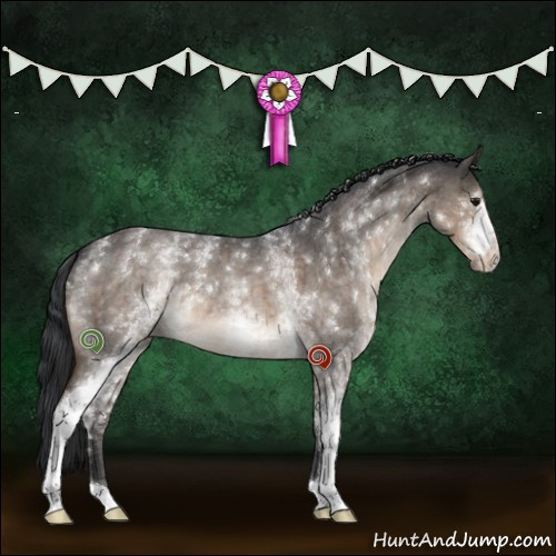 Horse Color:White Spotted Brown Roan Dun Brindle 