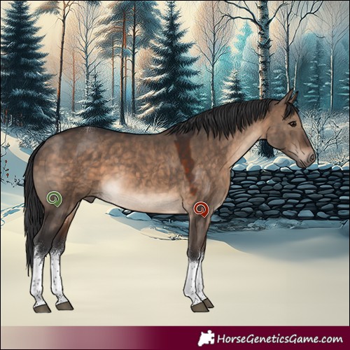 Horse Color:White Spotted Brown Dun Tobiano 