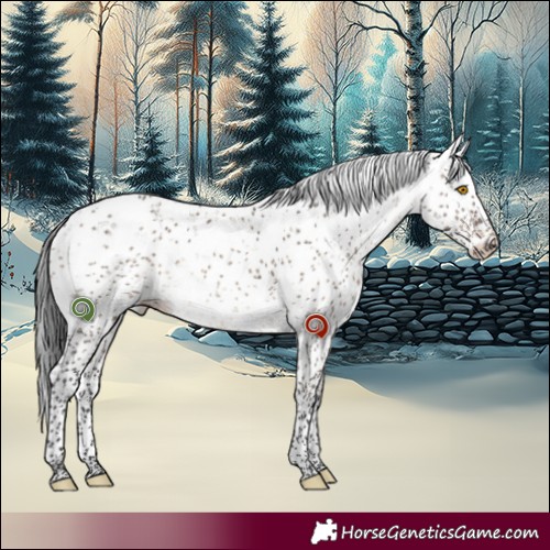 Horse Color:Brown Dun Mushroom Sabino Brindle 