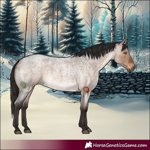 Horse Color:Brown Roan Dun 