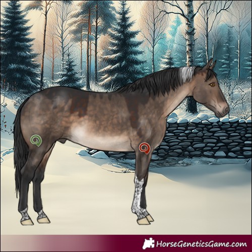 Horse Color:Brown Dun Tobiano 