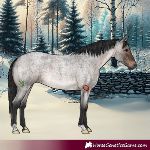 Horse Color:Brown Roan Dun Brindle 