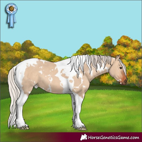 Horse Color:White Spotted Silver Bay Dun Tobiano 