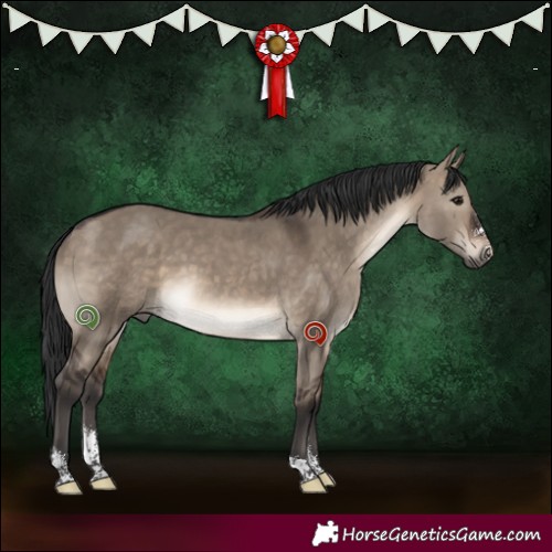 Horse Color:Brown Dun Sabino 