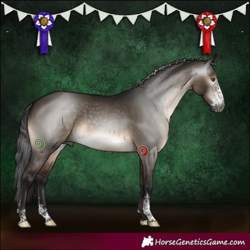 Horse Color:Gray Brown Dun Sabino Brindle 
