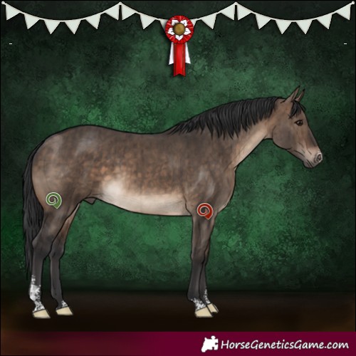 Horse Color:Brown Dun Sabino Brindle 
