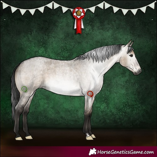 Horse Color:Gray Brown Roan Dun 