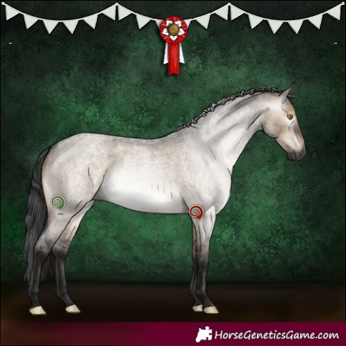 Horse Color:Gray Brown Roan Dun 