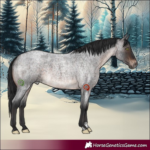 Horse Color:Brown Roan Sabino 