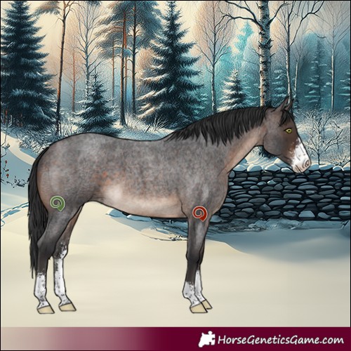 Horse Color:Brown Roan Sabino 
