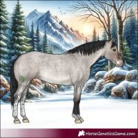 Horse Color:Brown Roan Dun Sabino 