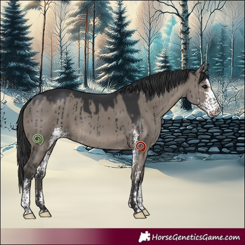 Horse Color:Grullo Sabino Brindle 
