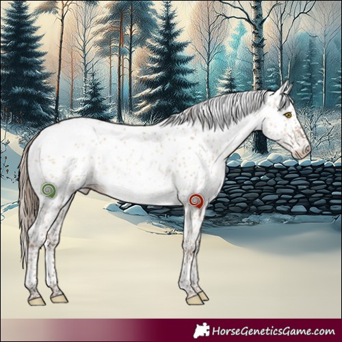 Horse Color:Brown Pearl Dun Sabino 