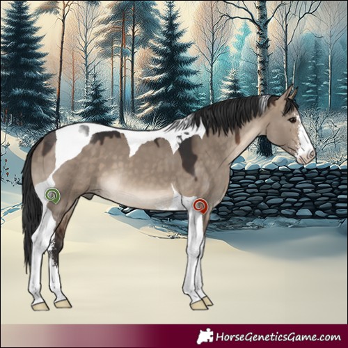 Horse Color:Brown Dun Sabino Tobiano 