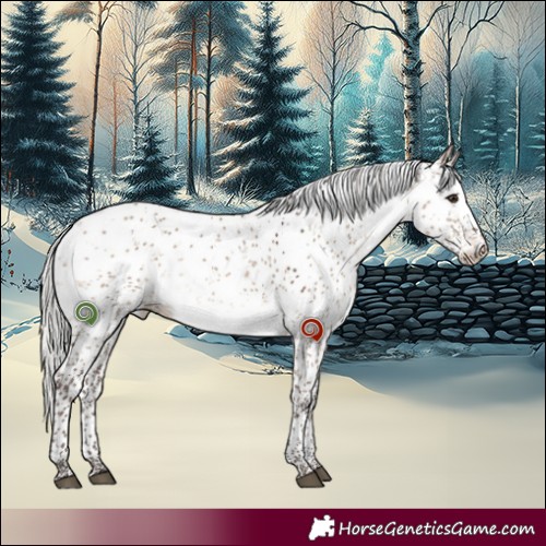 Horse Color:Silver Brown Dun Sabino 