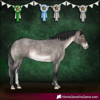 Horse Color:Brown Roan Dun Mushroom Sabino Brindle
