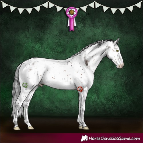 Horse Color:Brown Mushroom Sabino 