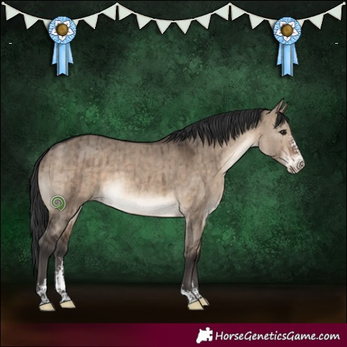 Horse Color:Brown Dun Sabino Brindle