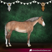 Horse Color:Silver Bay Dun Sabino Brindle 