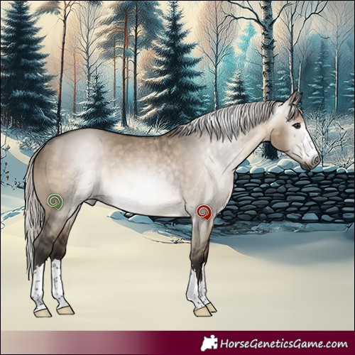 Horse Color:Gray Silver Brown Dun 