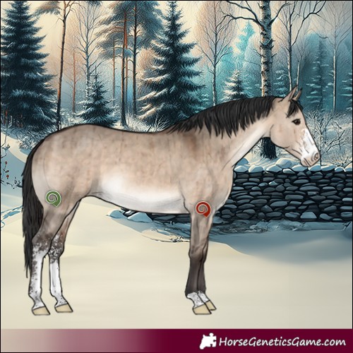 Horse Color:Brown Dun Sabino Brindle 
