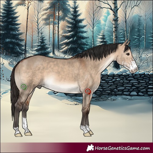 Horse Color:Bay Dun Sabino 