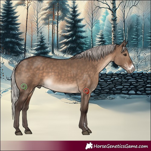Horse Color:Silver Brown Dun Sabino 