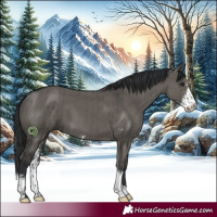Horse Color:Grullo Sabino Brindle