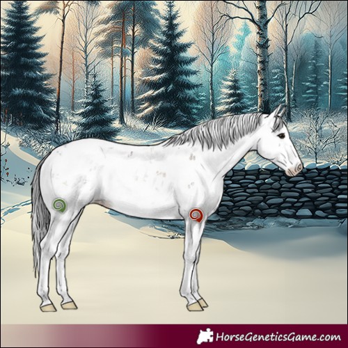 Horse Color:Brown Dun Sabino Rabicano Brindle 