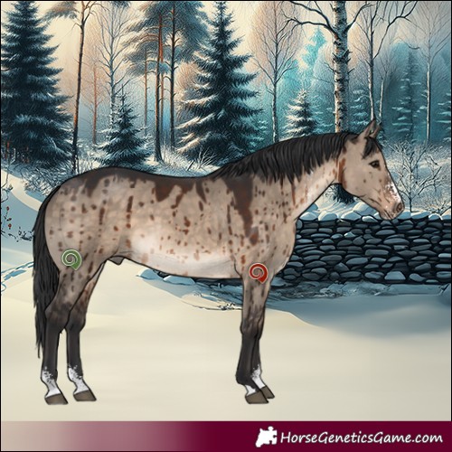 Horse Color:Brown Dun Sabino Brindle 
