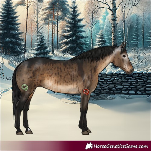Horse Color:Gray Bay Dun Brindle 