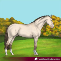 Horse Color:Amber Champagne Dun 