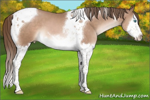 Horse Color:Brown Pearl Mushroom Splash Tobiano 