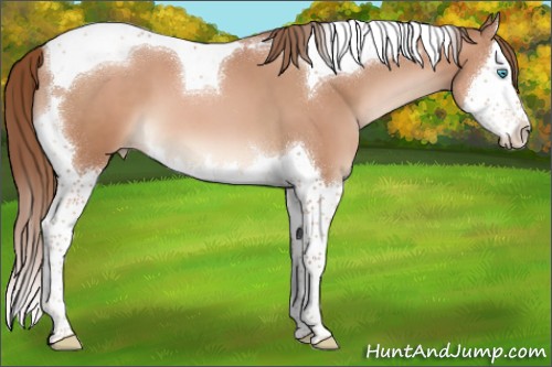 Horse Color:Brown Pearl Mushroom Splash Tobiano 