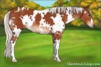 Horse Color:White Spotted Silver Brown