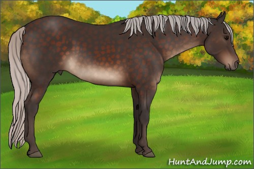 Horse Color:Silver Brown 
