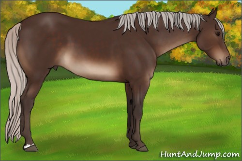 Horse Color:Silver Brown 