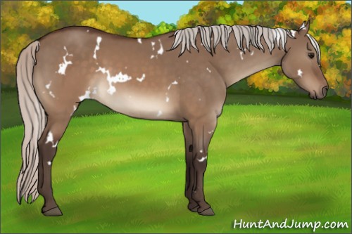 Horse Color:White Spotted Silver Brown Dun 