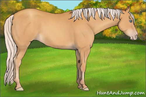 Horse Color:Silver Sable Cream Champagne