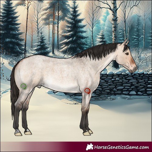 Horse Color:Bay Roan Dun 