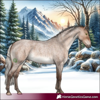 Horse Color:Silver Brown Roan Dun Brindle 