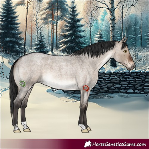 Horse Color:Brown Roan Dun 