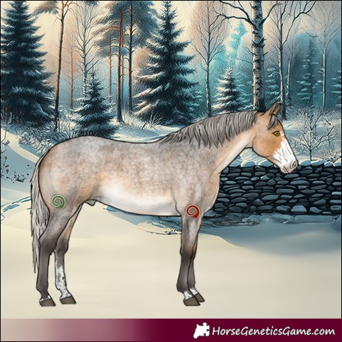 Horse Color:Silver Buckskin Roan Sabino 