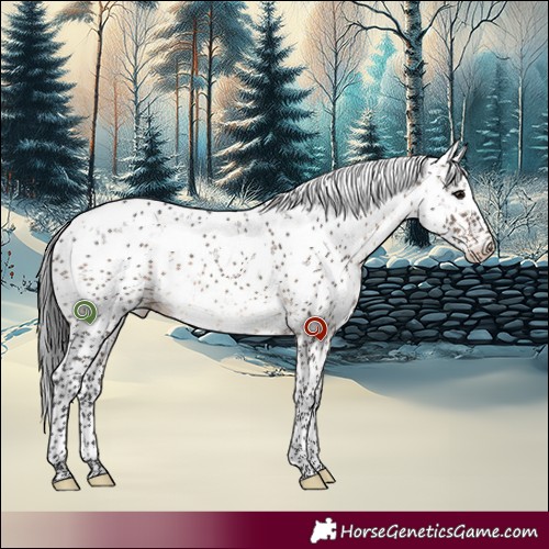 Horse Color:Brown Dun Sabino 