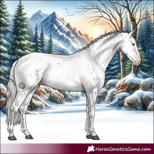 Horse Color:Silver Brown Dun Sabino Brindle 