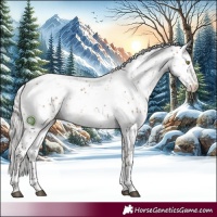 Horse Color:Silver Brown Dun Sabino Brindle 