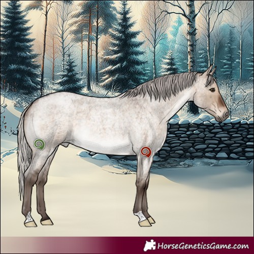 Horse Color:Silver Brown Roan Dun Brindle 