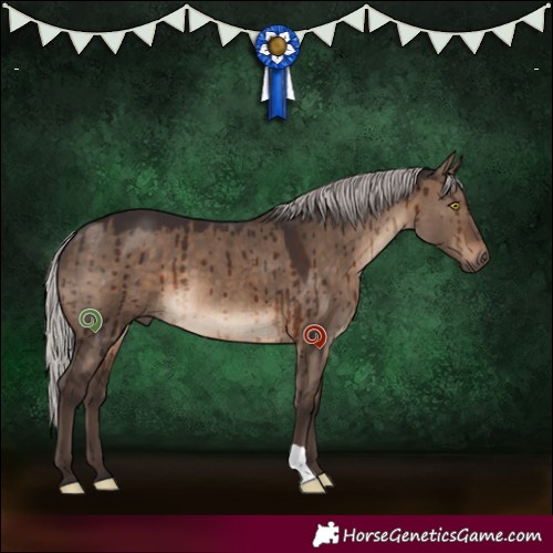 Horse Color:Silver Brown Dun Brindle 